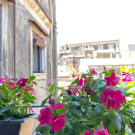 Bed & Breakfast Dimora Dei Minoriti 3*